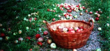 #TBT Common Endowment Mistakes