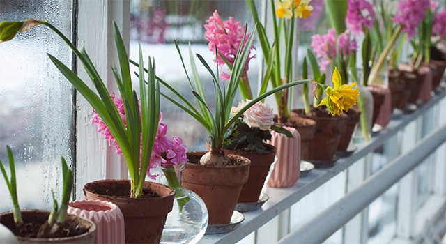 How Much Can I Contribute to My Retirement Accounts?