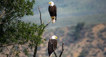 Most People Take Social Security At The Worst Possible Age