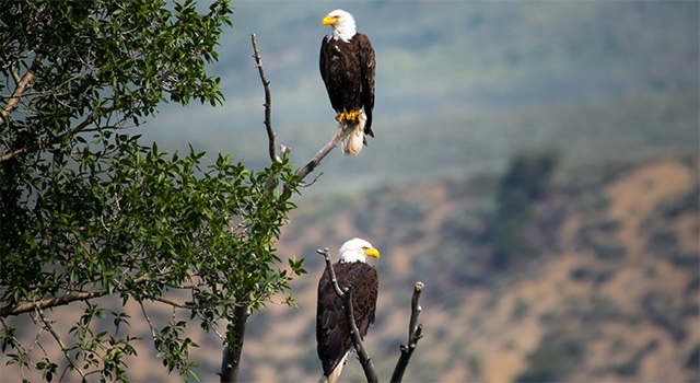 Most People Take Social Security At The Worst Possible Age