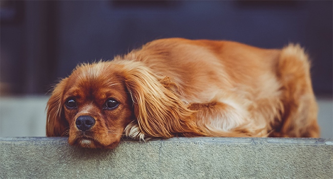 Examples of the Narrative Fallacy