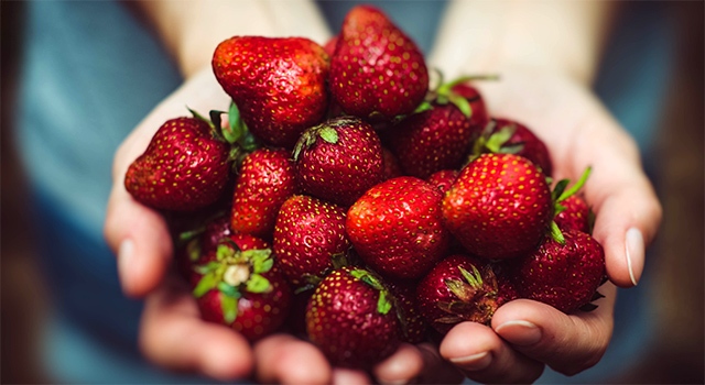 How Much Can I Give Away to Charity This Year?