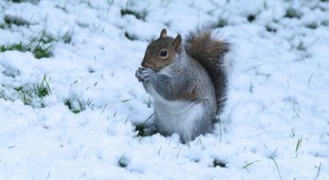 Can I Continue Retirement Saving Past Age 70 1/2?