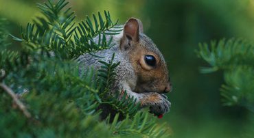 Mailbag: Can I Contribute To An IRA The Year I Turn 70 1/2?