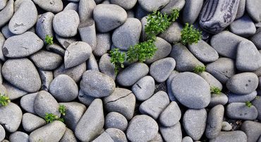 #TBT The Minimalist Budget