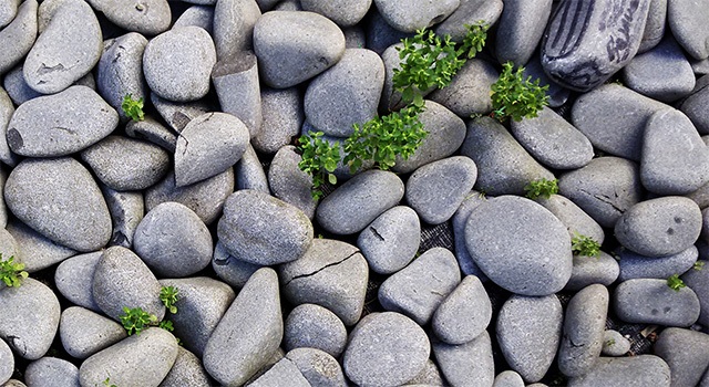 The Minimalist Budget