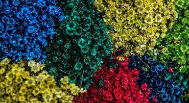 Factor Investing: Small and Value Factors