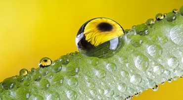 Using Factor Investing To Boost Country Specific Returns