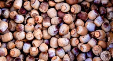 Q&A: What’s My Roth Conversion Limit?