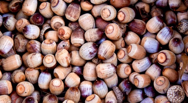 Q&A: What’s My Roth Conversion Limit?