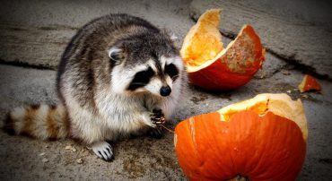 RMD Mistake: Taking Out Too Much Just Because