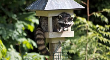 RMD Mistake: Depositing to Your Checking Account