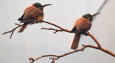 US Stock Investing in 2016