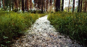 Radio: What Does “Trickle-Down Economics” Mean to Liberals and Conservatives?