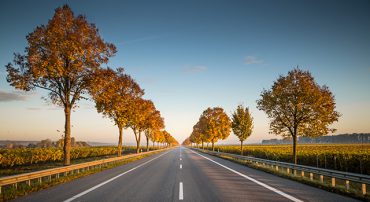 Radio: Tax Planning Season