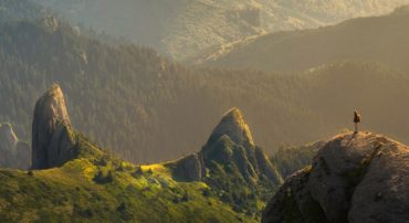 An Asset Allocation For Your Health Savings Account