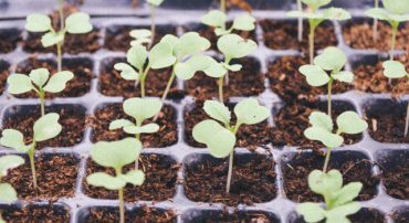 Asset Location Can Significantly Boost After-Tax Returns