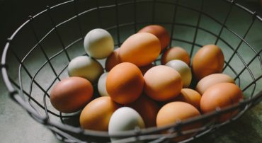 Choosing Between Your Employee Retirement Account Options