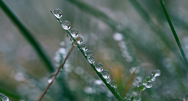 Radio: Getting Your Finances in Order, part 2