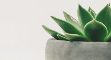 The Route from Wealth to Well-Being