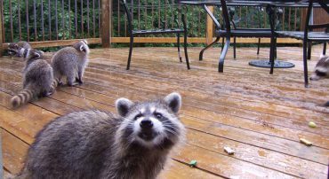 RMD Mistake: Aggregating the Wrong Accounts