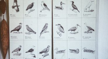 Radio: Ten Attractive Investment Categories for 2018