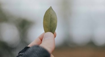 How to Analyze an Individual Stock