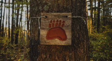 A Guide to the Bear Markets