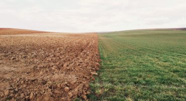 Why do I have a Positive Return with a Negative Gain?