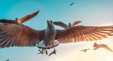 Best Non-Correlated Asset Classes for the S&P 500