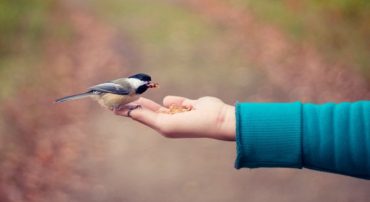 Why The 4% Rule Is Not A Sufficient Withdrawal Strategy
