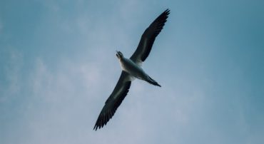 The Markets Can’t Go Up Indefinitely, Can They?