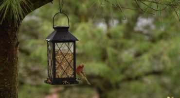 Q&A: Do Others Stand to Gain from the Financial Advice You Give Me?