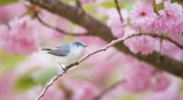 Q&A: What Types of Clients Do You Typically Work with?