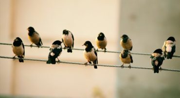 Q&A: What is Your Approach to Financial Planning?