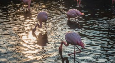 Q&A: What Financial Planning Services Do You Offer?