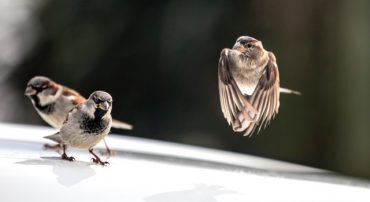 Q&A: Have You Ever Been Publicly Disciplined for Any Unlawful or Unethical Actions in Your Career?