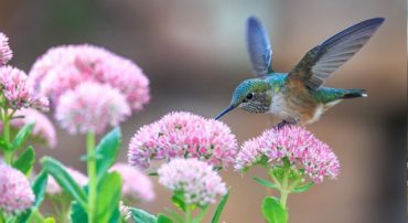 Q&A: How Will I Pay for Your Financial Planning Services? How Much Do You Typically Charge?