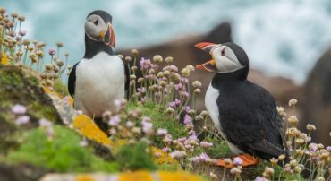 Q&A: Will You Be the Only Financial Planner Working with Me?