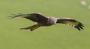 Revisiting 2008 When The Markets Were Dropping