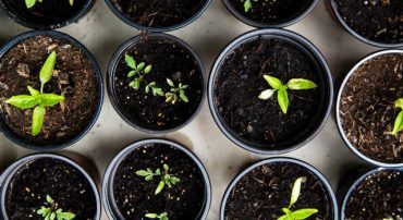 Seven Ways a Marotta-Managed Schwab Institutional Intelligent Portfolios is Better Than Schwab Retail