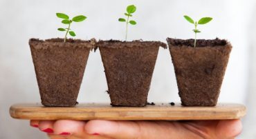 Who Serves Low And Middle Income Consumers? We Do!