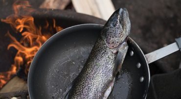 Marotta’s 2019 Gone-Fishing Portfolio Calculator