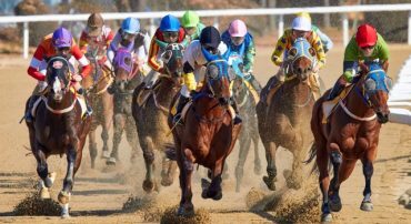 The Dangers of Individual Stock Investing