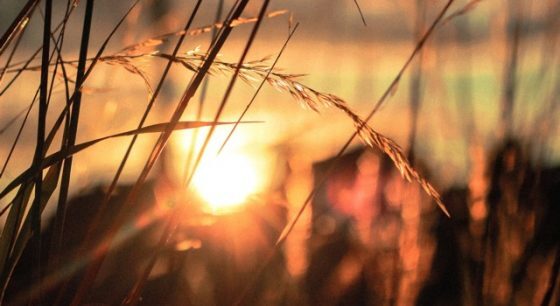 An Honest Conversation About Compensation