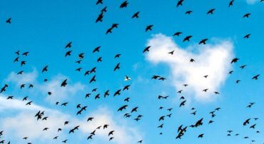 Q&A: What is the Average Real Return of the Stock Market?