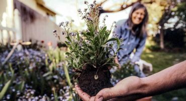 Radio: Success and Significance in Retirement