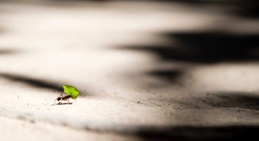 Q&A: How Do I Calculate My RMD from a Complicated 401(k)-to-IRA Rollover?