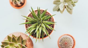 #TBT What Are Normal Market Movements?