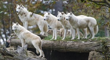 SEC Regulation Best Interest Does Not Have Your Best Interests At Heart